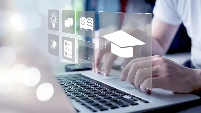 Flexible learning paths system