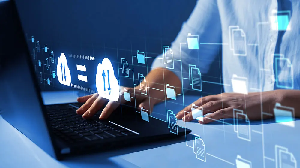 Reliable network performance and connectivity